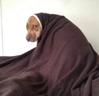 Стикер Psihush - 9