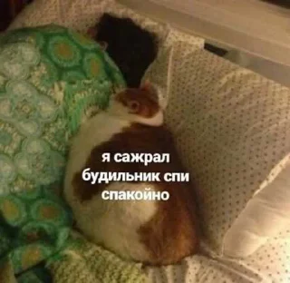 Стикер Psihush - 10