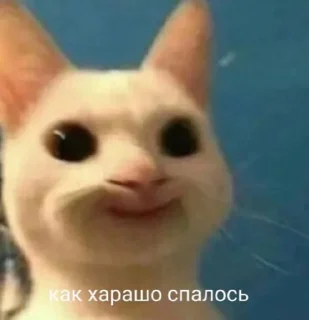 Стикер Psihush - 4