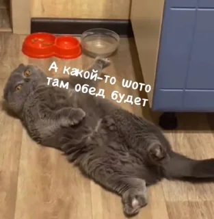 Стикер Psihush - 11