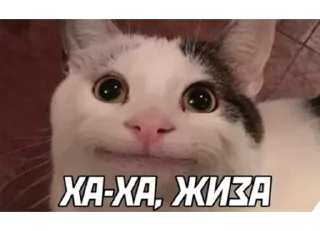 Стикер Psihush - 8