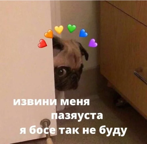 Sticker Хуйня собаки by @fStikBot - 9