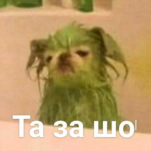 Sticker Хуйня собаки by @fStikBot - 8