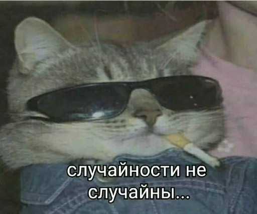 Sticker Хуйня собаки by @fStikBot - 4