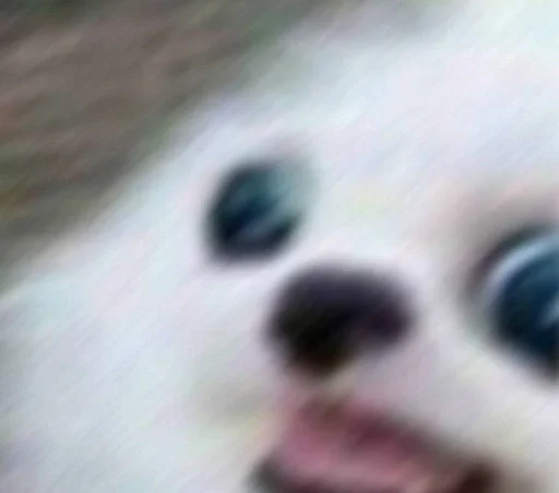 Sticker Хуйня собаки by @fStikBot - 2