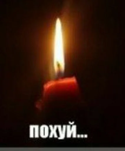 Sticker Хуйня собаки by @fStikBot - 1