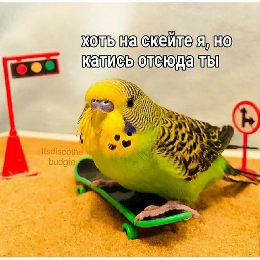 Хуйня собаки by @fStikBot - 