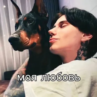 Sticker Битва приколистов - 2