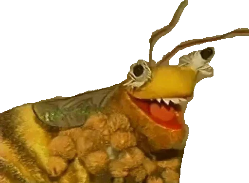 animal butterfly yellow