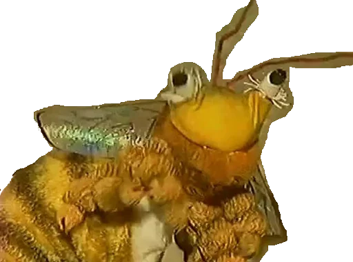 animal organism invertebrate