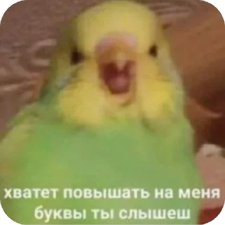 Sticker Птичечки - 5