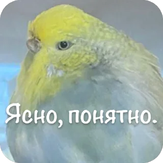 Sticker Птичечки - 3