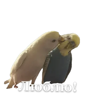 Sticker Птичечки - 4