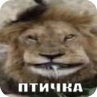 Sticker Птичке - 7