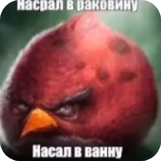 Sticker Птичке - 10