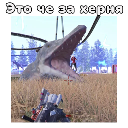 животное на открытом воздухе небо