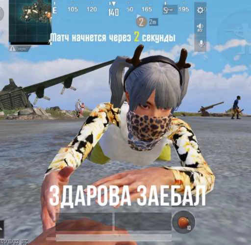 пабжи мабжи - 