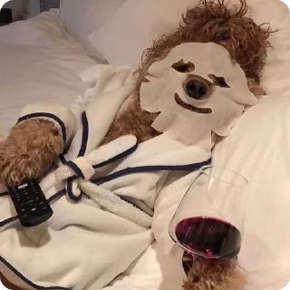 комнатный кровать игрушка