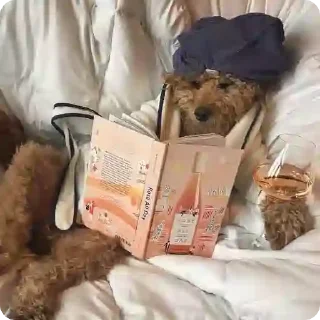 СМС комнатный кровать