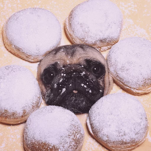 dessert food powdered sugar