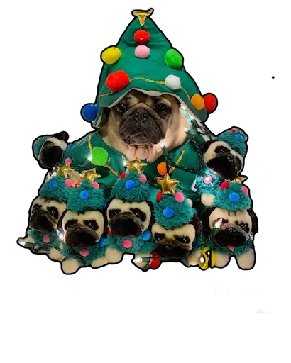 christmas christmas tree