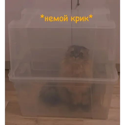 Sticker ✨ Пух ✨ - 8