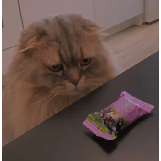 Sticker ✨ Пух ✨ - 7