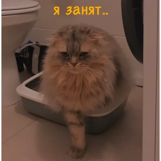 Sticker ✨ Пух ✨ - 6