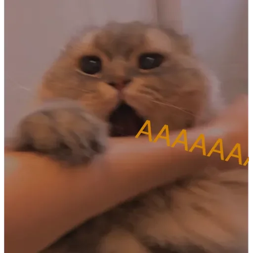 Sticker ✨ Пух ✨ - 4