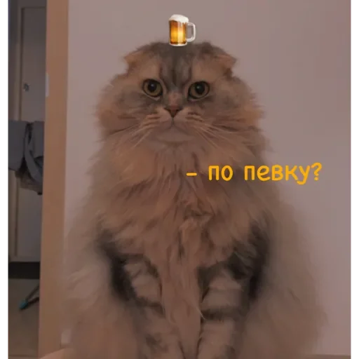 Sticker ✨ Пух ✨ - 1