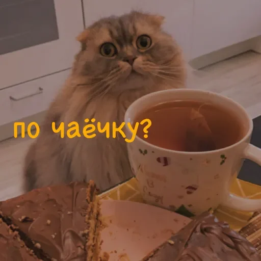 Sticker ✨ Пух ✨ - 0