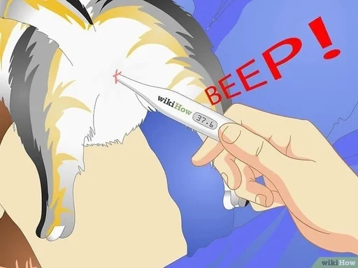 СМС мультфильм иллюстрация