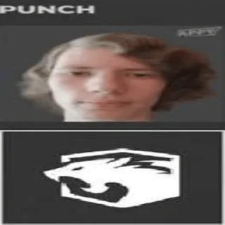 Sticker Панч (создатель @Punchitos228) - 6