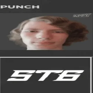 Sticker Панч (создатель @Punchitos228) - 5