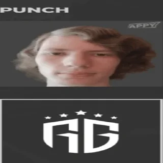 Sticker Панч (создатель @Punchitos228) - 10