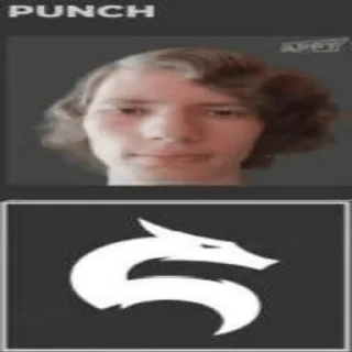 Sticker Панч (создатель @Punchitos228) - 7