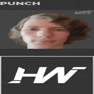 Sticker Панч (создатель @Punchitos228) - 2