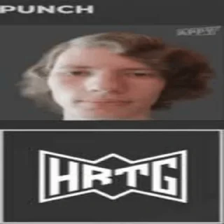 Sticker Панч (создатель @Punchitos228) - 8