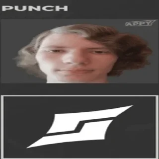 Sticker Панч (создатель @Punchitos228) - 1