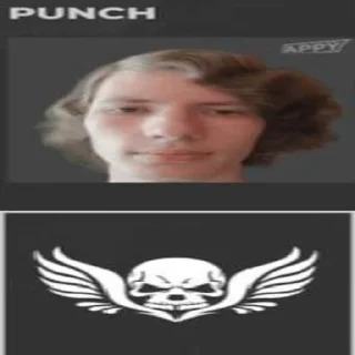 Sticker Панч (создатель @Punchitos228) - 0