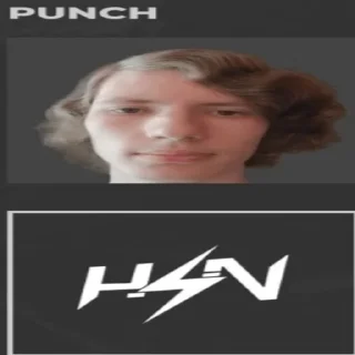 Sticker Панч (создатель @Punchitos228) - 11