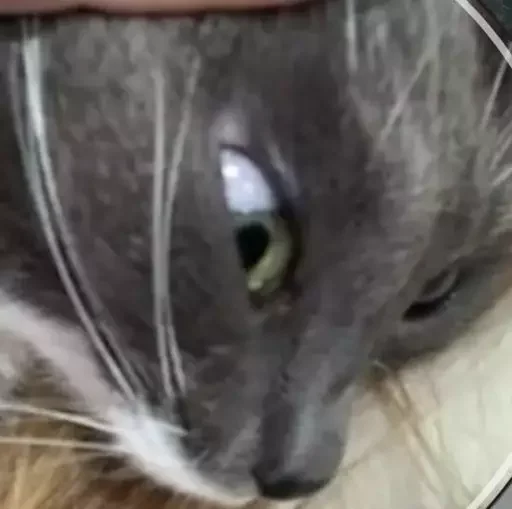 Sticker Punker222 - 1