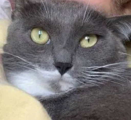 Sticker Punker222 - 1