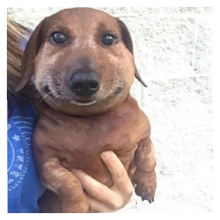 Стикер Пупсы - 4