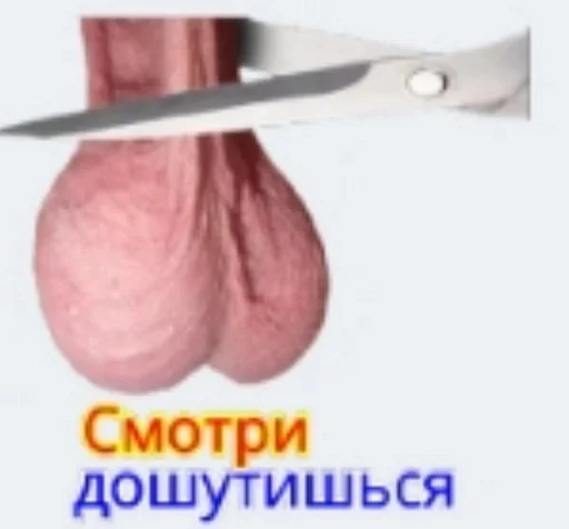 kitchen utensil food