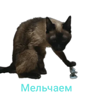 Стикер Пупузьма - 10