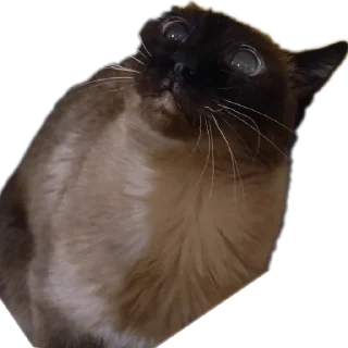 Стикер Пупузьма - 5