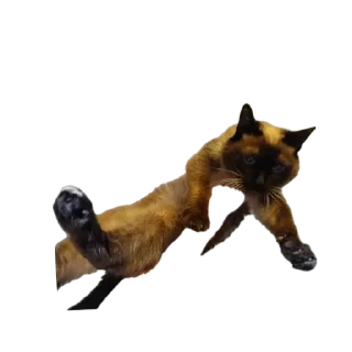 Стикер Пупузьма - 4