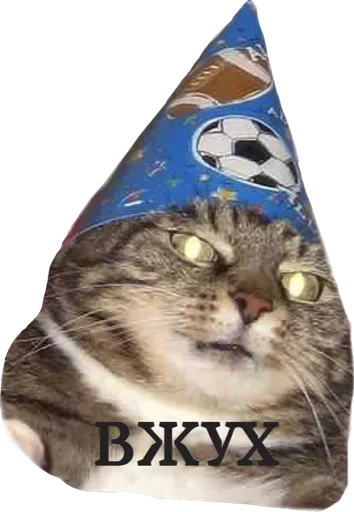 Sticker Пусечки Коты @stickerus - 8