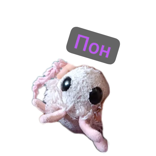 Пушина пон - 